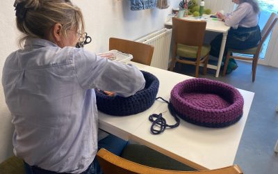 De plek waar jouw kat niet meer uit wil komen!