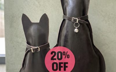 Deze kattentassen stelen de show!